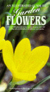 Illustrated Guide to Garden Flowers