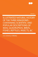 Illustrated Natural History of the Three Kingdoms: Containing Scientific and Popular Descriptions of Man, Quadrupeds, Birds, Fishes, Reptiles, Insects, &C