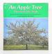 An Apple Tree Through the Year