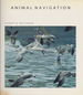 Animal Navigation