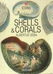 Shells and Corals (Icons)