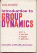 Introduction to Group Dynamics