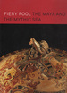 Fiery Pool: the Maya and the Mythic Sea