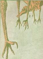 Cover for "Neue Lyrik."