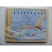 The Flight of the Pterosaurs: A Pop-Up Book