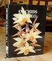 Orchids of Borneo: Dendrobium, Dendrochilum and Others: Vol 3