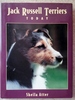 Jack Russell Terriers Today