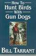 How to Hunt Birds With Gun Dogs