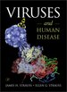 Viruses and Human Disease