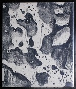 The Arts of the French Book 1900-1965
