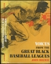 Voices From the Great Black Baseball Leagues