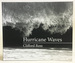 Clifford Ross: Hurricane Waves