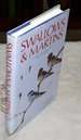 Swallows & Martins: an Identification Guide and Handbook