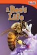 A Bee's Life