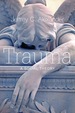 Trauma: a Social Theory