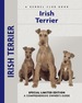 Irish Terrier