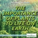 The Importance of Plants to Life on Earth