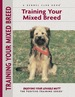 Training Your Mixed Breed
