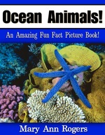 Ocean Animals: an Amazing Fun Fact Picture Book