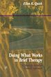 Doing What Works in Brief Therapy: a Strategic Solution Focused Approach