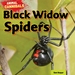 Black Widow Spiders