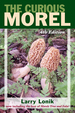 The Curious Morel