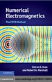 Numerical Electromagnetics