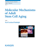 Molecular Mechanisms of Adult Stem Cell Aging