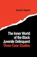 The Inner World of the Black Juvenile Delinquent