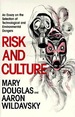 Risk and Culture
