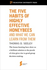 The Five Habits of Highly Effective Honeybees (and What We Can Learn From Them)