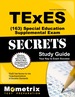 Texes Special Education Supplemental (163) Secrets Study Guide