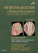 The Netter Collection of Medical Illustrations: Nervous System, Volume 7, Part II-Spinal Cord and Peripheral Motor and Sensory Systems