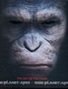 Dawn of Planet of the Apes and Rise of the Planet of the Apes: the Art of the Films
