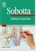 805: Liudger Wird Bischof [Gebundene Ausgabe] Gabriele Isenberg (Autor), Barbara Romme (Autor)