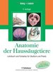 Anatomie Der Haussugetiere: Lehrbuch Und Farbatlas Fr Studium Und Praxis [Gebundene Ausgabe] Von Horst Erich Knig (Autor), Hans Georg Liebich