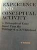 Experience and Conceptual Activity: A philosophical Essay Based Upon the Writings of A. N. Whitehead