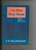 One Bible Many Voices, Different Approaches to Biblical Studies