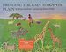 Bringing the Rain to Kapiti Plain (Paperback)