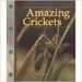 Amazing Crickets (Paperback) By Daniel Martin Jacobs