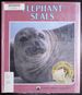 Elephant Seals (Natural Science Books)