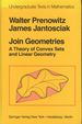 Join Geometries: a Theory of Convex Sets and Linear Geometry (Undergraduate Texts in Mathematics)