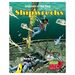 Shipwrecks (Hardcover) By Adrian Vigliano