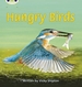 Bug Club Phonics - Phase 5 Unit 23: Hungry Birds