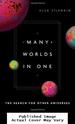 Many Worlds in One: the Search for Other Universes
