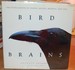 Bird Brains the Intelligence of Crows, Ravens, Magpies, and Jays a Sierra Club Book
