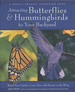 Attracting Hummingbirds and Butterflies to Your Backyard: Watch Your Garden Come Alive With Beauty on the Wing