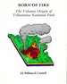 Born of Fire: The Volcanic Origin of Yellowstone National Park