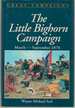 Little Bighorn Campaign