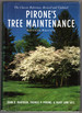 Pirone's Tree Maintenance